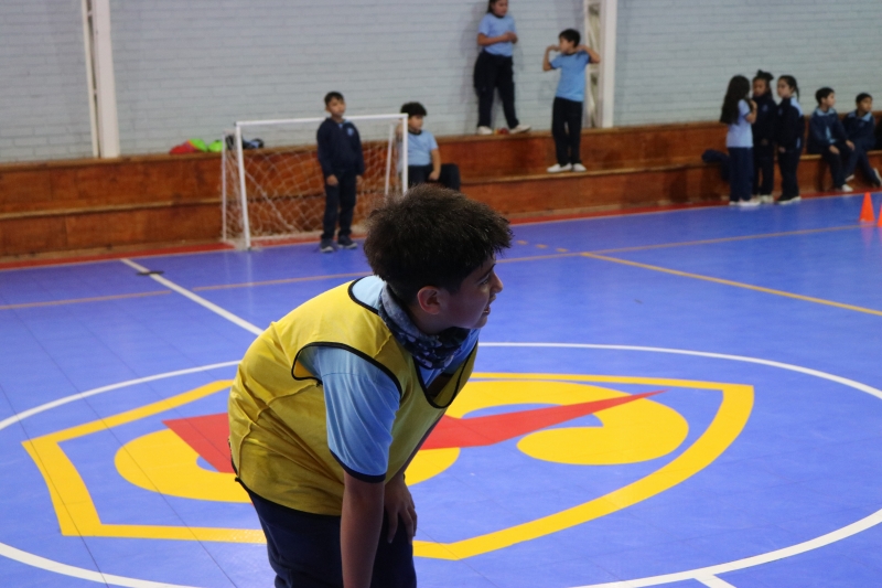 Día de la Actividad Física